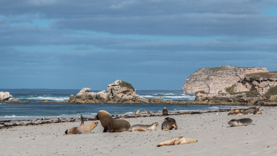 Kangaroo Island Australia